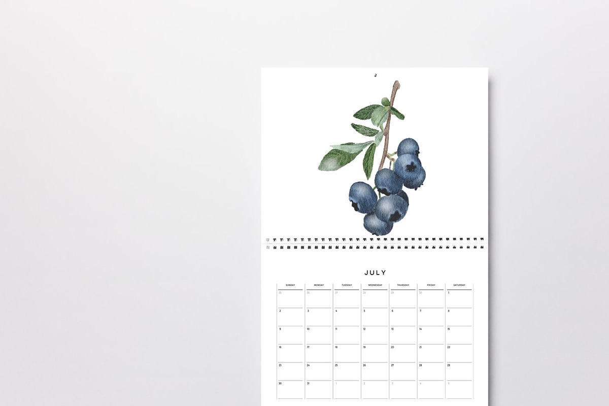 Botanical Blueberries, an Illustration by anitawidi (Photo 3 of 3)