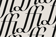 Netsera Calligraphic Serif Typeface, a Serif Font by SilverStag Type Foundry (Thumbnail 20 of 30)