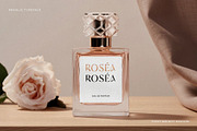 Regalic | Font Family, a Sans Serif Font by Digitype Studio (Thumbnail 10 of 14)