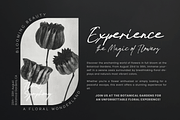 Cornetta – Handwritten Script Font, a Handwritten Font by Pixesia Studio (Thumbnail 6 of 11)