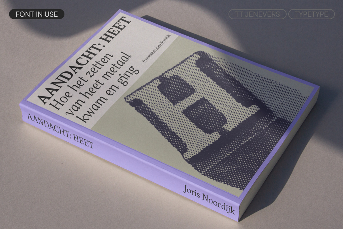 TT Jenevers, a Serif Font by TypeType (Photo 9 of 15)