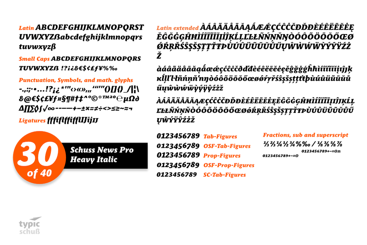 SchussNewsProHeavyIta No.30 (1 Font) preview 3