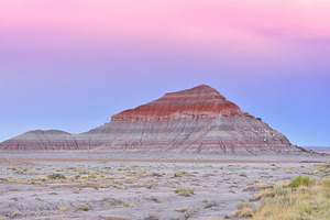 Petrified forest national park usa stock photo containing petrified and forest