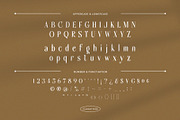 Sabiant – Luxury Ligature Serif Font, a Serif Font by Krismagraph (Thumbnail 4 of 12)