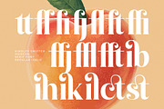 Kindles Swifter Modern Serif Font, a Serif Font by timelesstype.co (Thumbnail 13 of 20)