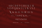 Sannesy Elegant Serif Font, a Serif Font by Graphicxell (Thumbnail 8 of 8)