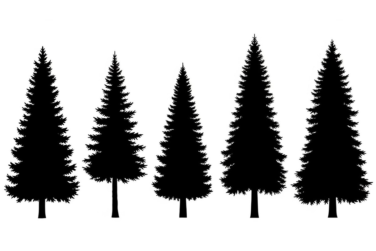Woodland & Forest Tree Silhouettes B, an Illustration by jahid234 (Photo 3 of 41)