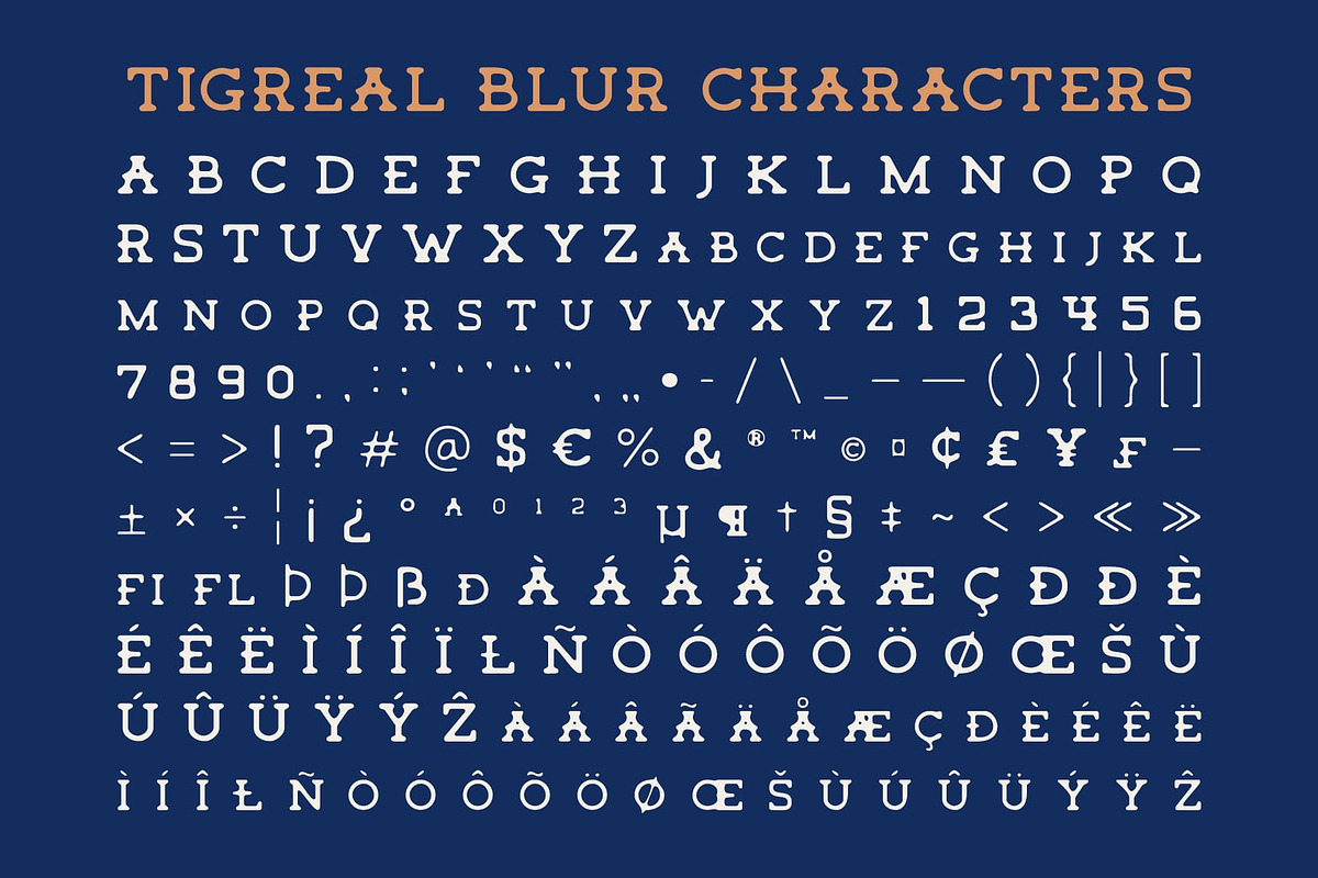 Tigreal Blur, a Serif Font by Craft Supply Co. (Photo 8 of 8)