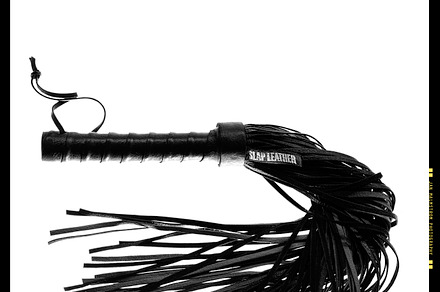 Whip preview 6