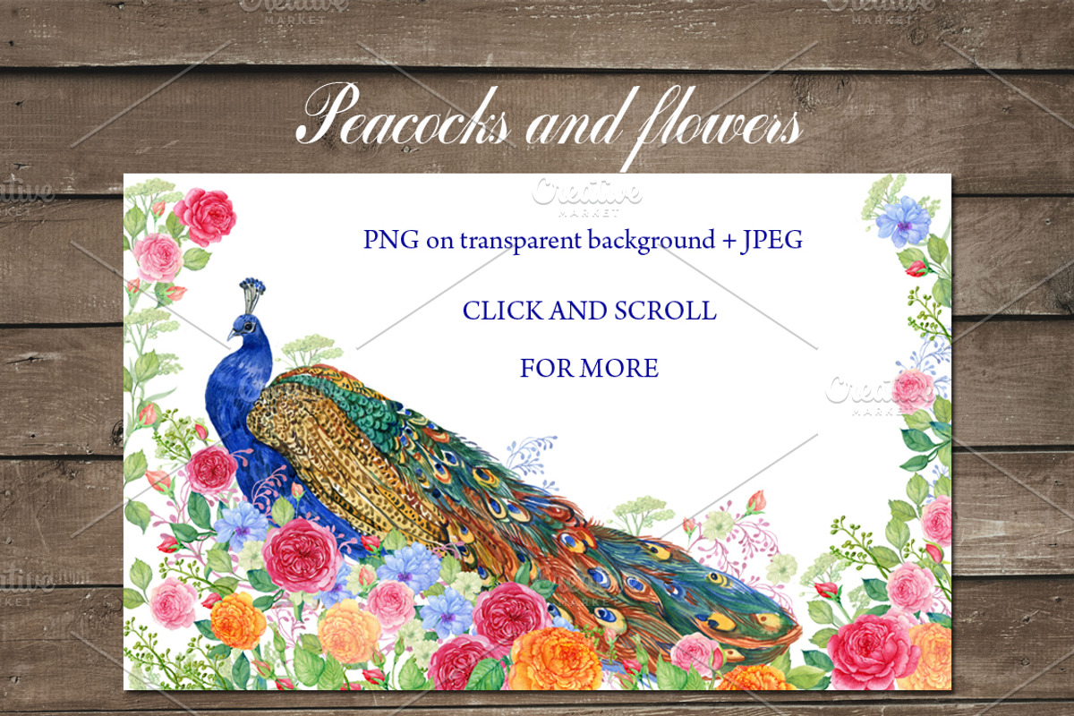 Peacocks and flowers/watercolor, an Illustration by MitrushovaArt (Photo 3 of 7)