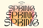 TAN-SPRING, a Sans Serif Font by TanType (Thumbnail 1 of 13)