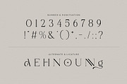 Napolyo - Elegant Serif Font, a Serif Font by Ermedia Studio (Thumbnail 11 of 12)