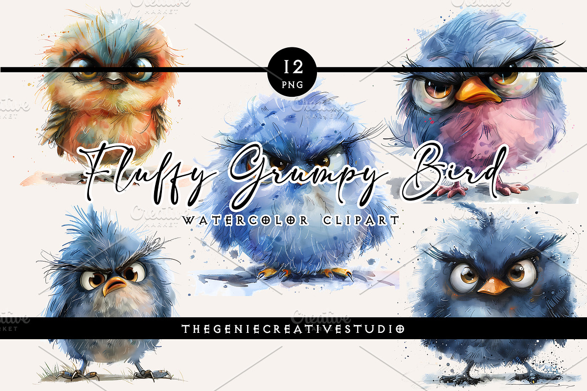 Fluffy Grumpy Bird PNG Clipart Set, an Animal Illustration by Geniecreativestudio (Photo 1 of 9)