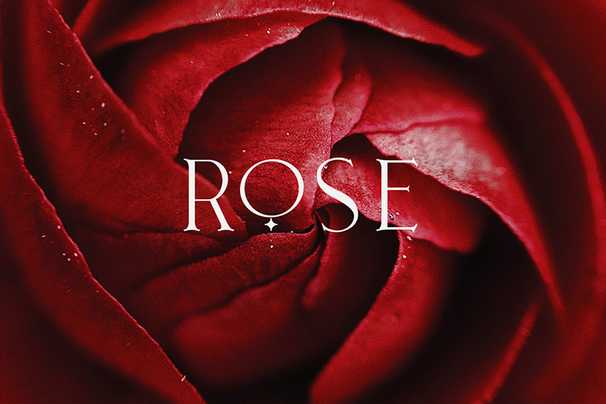 Leonetta Font Duo + Extras, a Serif Font by Angin Studio (Photo 10 of 16)