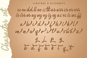 Rezojas - Bold Script Font, a Script Font by StringLabs (Thumbnail 12 of 13)