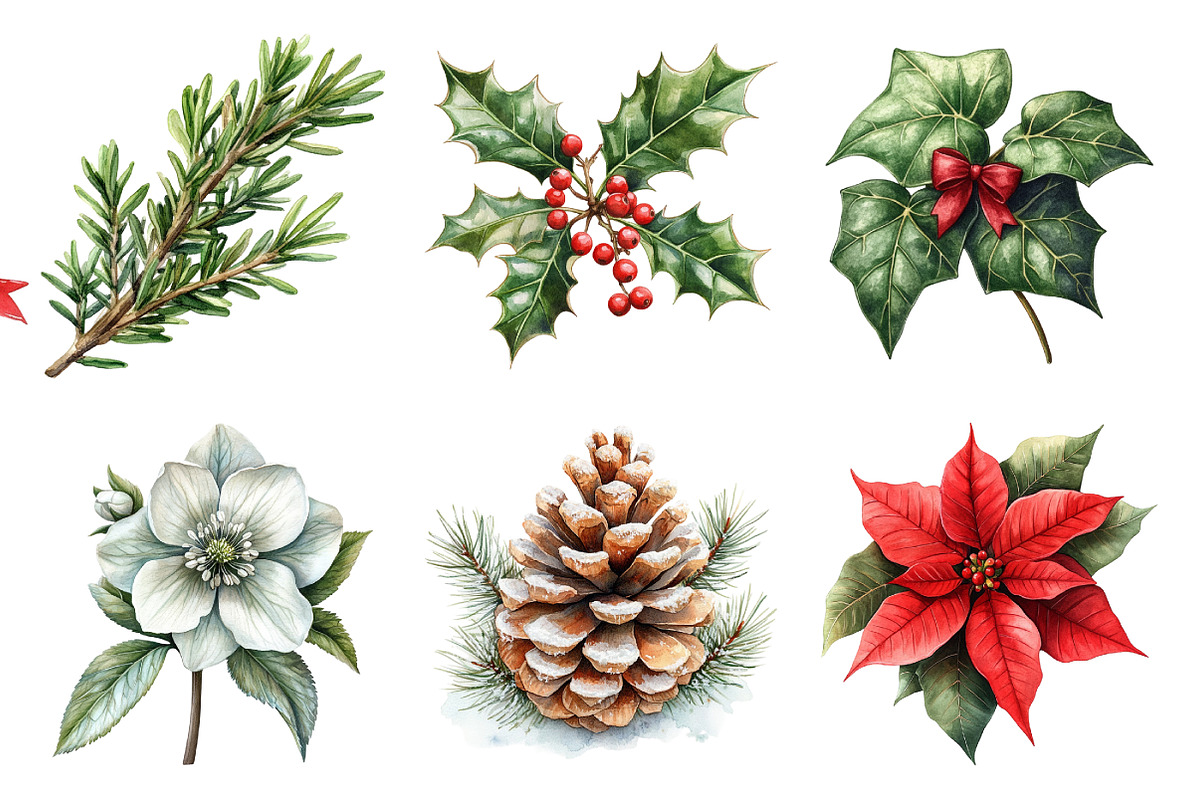Festive Florals & Pinecones Clipart, an Illustration by Daily.Designs (Photo 3 of 5)
