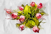 Fashion Sketch Photoshop Action, an Action Add-On by GorynArt (Thumbnail 23 of 24)