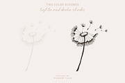 Artistic Dandelion Sketches, a Decorative Illustration by Pigment Café (Thumbnail 3 of 6)