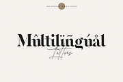 Commune - Modern Serif Font, a Serif Font by Tropical Type (Thumbnail 11 of 11)