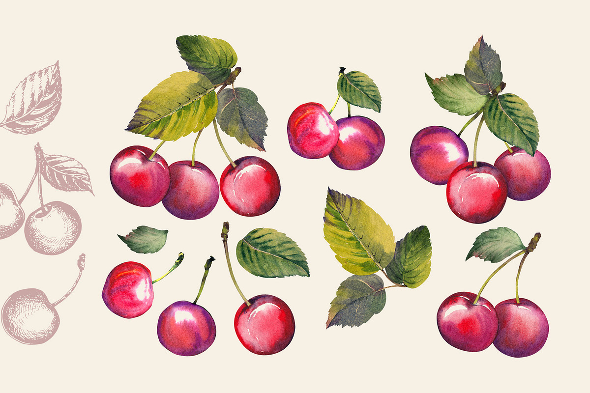 Berries, a Food Illustration by Jeanna Draw (Photo 2 of 12)