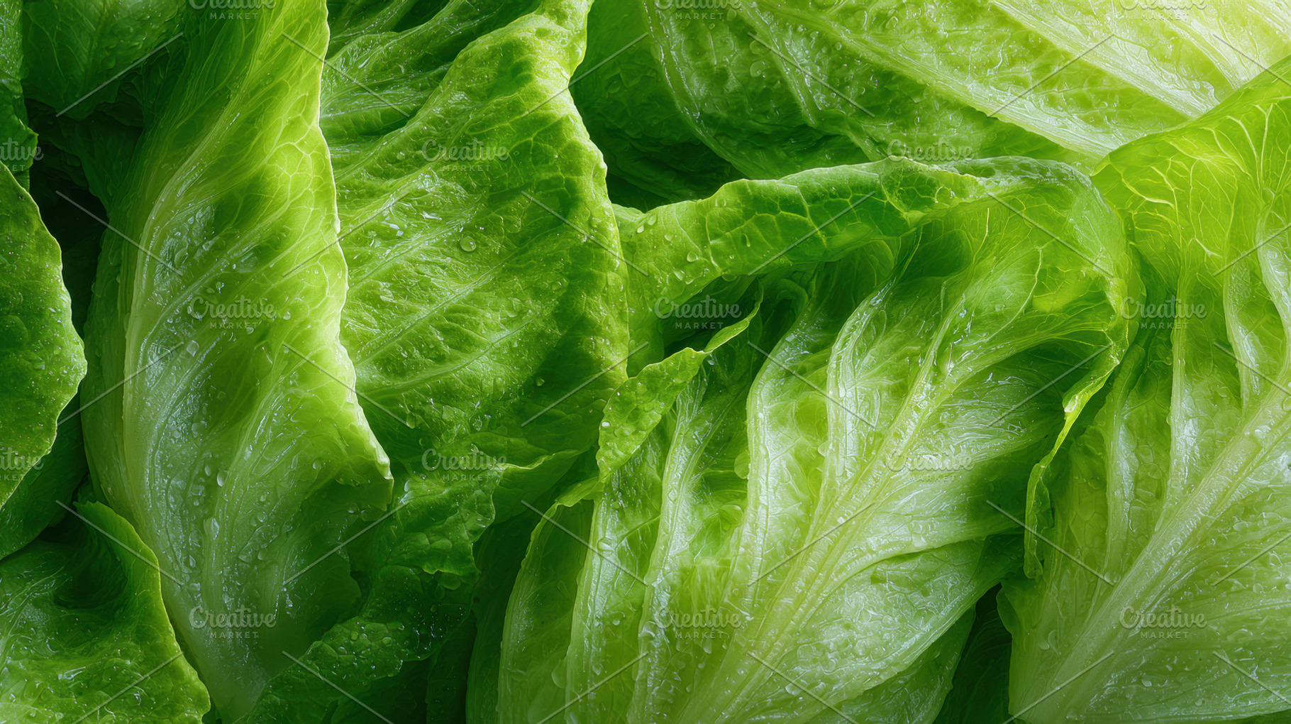Green pile of lettuce leaves, a Photo by Beautiful things