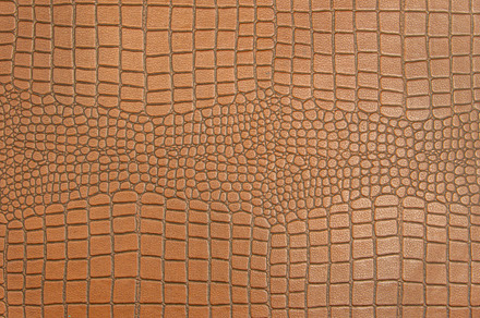 Skin of crocodile texture featuring skin, crocodile, and alligator, an Abstract Photo by Casanowe-studio