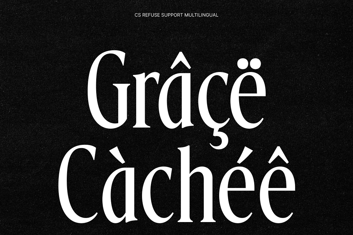 CS Refuse – Contemporary Font, a Serif Font by Craft Supply Co. (Photo 7 of 8)