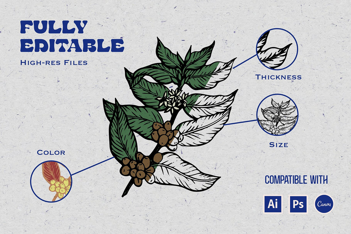 Coffee Illustration Pack, a Food Illustration by Eldorado Design Co. (Photo 4 of 9)