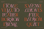 Bellrose Display Serif Font, a Serif Font by CarmineType (Thumbnail 18 of 24)