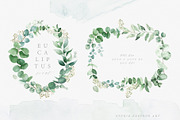 Scent of Eucalyptus - Graphic Set, an Illustration by studioequinox (Thumbnail 7 of 21)