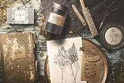 Floral Procreate Brushes and Stamps, a Brush Add-On by Sophia J Caldwell (Thumbnail 7 of 18)