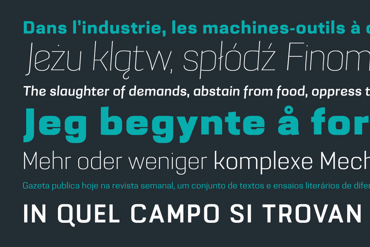Grafia Sans 1 Pro, a Sans Serif Font by Vanarchiv (Photo 4 of 4)