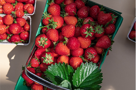 Macro of Fresh strawberries, a Food & Drink Photo by MAnuta