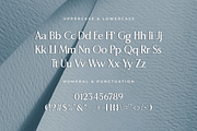 Sovence – A Luxury Serif Font, a Serif Font by overlaytemplates (Thumbnail 4 of 5)