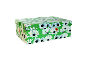 Nice green box isolated, a Photo by saiko3p