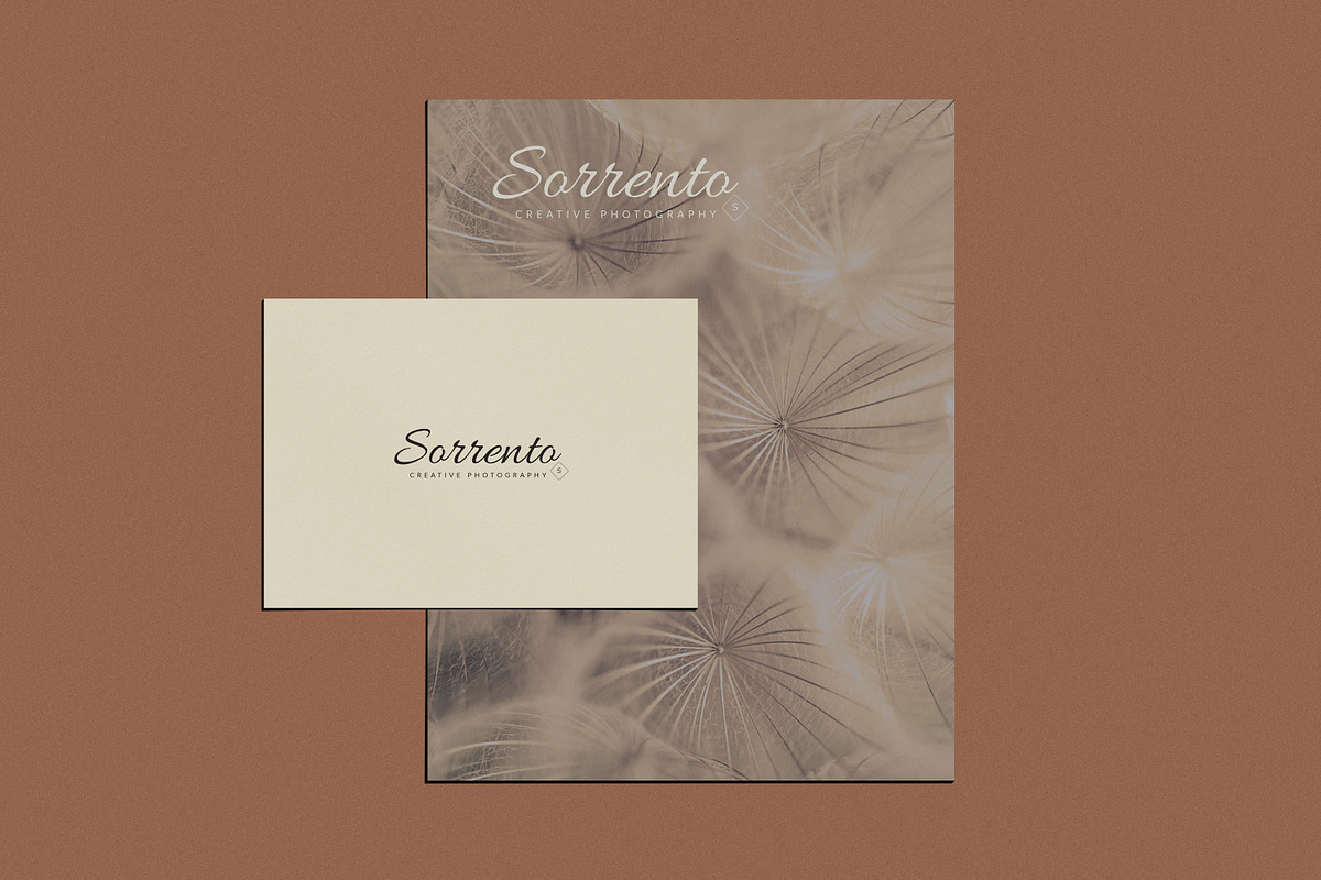 Novas, Pre-made logo Set of 24 logos preview 7