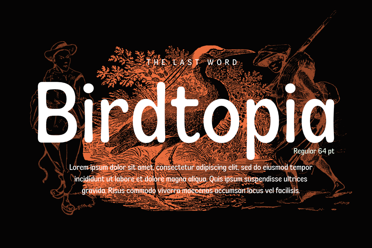 Sroal Modrow - Sans Display Family, a Sans Serif Font by Differentialtype (Photo 9 of 12)