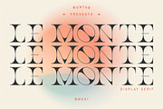 Le Monte | Serif Display, a Serif Font by Muntab_Art (Thumbnail 1 of 9)