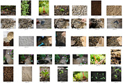 40 Gardening Backgrounds, a Nature Photo by Pullia (Thumbnail 2 of 6)