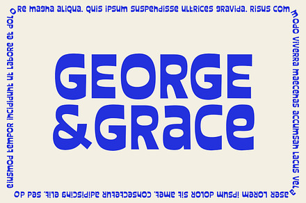 Shandy Molly - Display Font, a Handwritten Font by Viswell