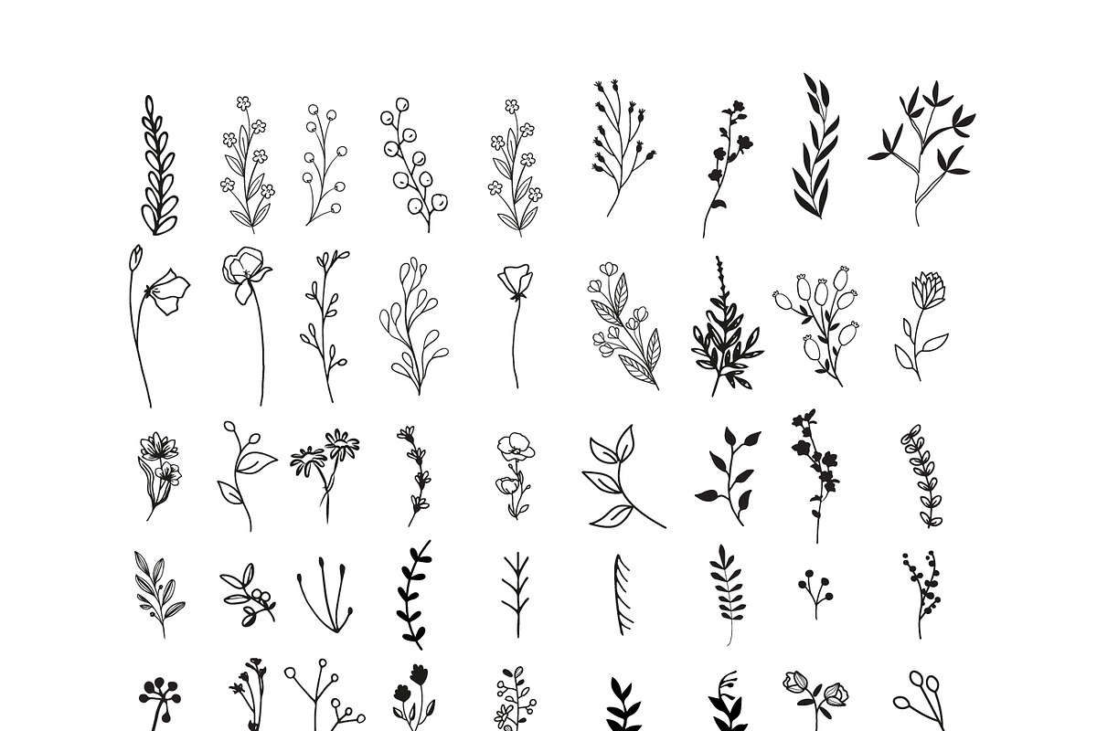 170 Wildflowers Line Art Botanicals, an Illustration by LifestyleCraftCo (Photo 7 of 7)