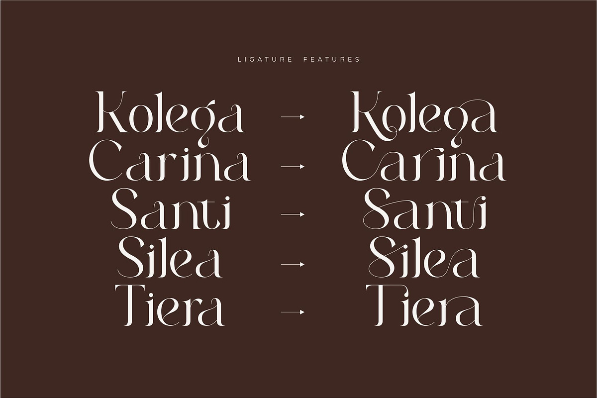 Roilra - Serif Ligature Font, a Serif Font by suhadidesign (Photo 6 of 13)