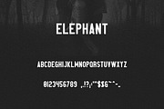 Elephant Font Family -50%, a Sans Serif Font by VP Fonts (Thumbnail 8 of 14)