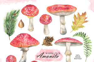 Watercolor Amanita