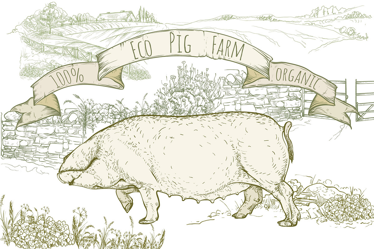 Eco pig farm, an Object Graphic by ArtOwl (Photo 7 of 7)