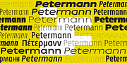 Petermann, a Sans Serif Font by ingoFonts (Thumbnail 10 of 10)