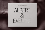 Andore - Elegant Modern Serif Font, a Serif Font by Pekotype (Thumbnail 9 of 15)