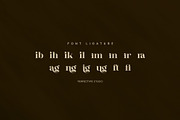 Kilmir Elegant Serif Font, a Serif Font by Perfectype (Thumbnail 8 of 8)