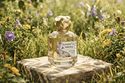 Summer Midday: Paraguay Botanical, a Decorative Illustration by Nadya Saen Art (Thumbnail 4 of 13)