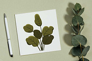 19 Tropical Leaves Foliage Plant, a Decorative Illustration by jongcreative (Thumbnail 3 of 6)